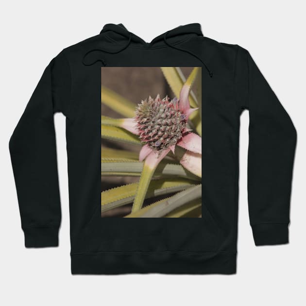 Pineapple Hoodie by Wenby-Weaselbee